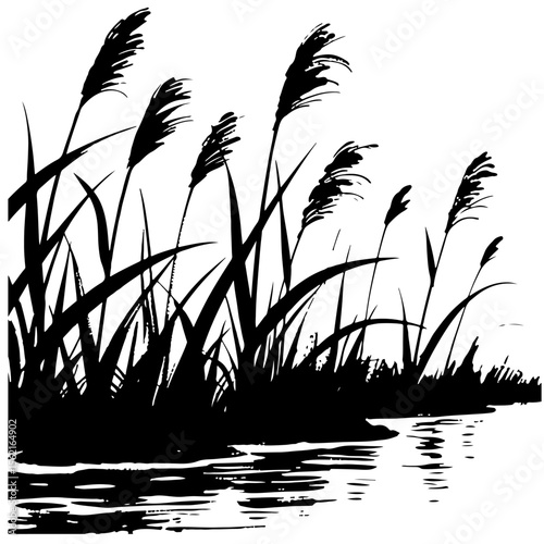 Black and white vector illustration of reeds by a lake