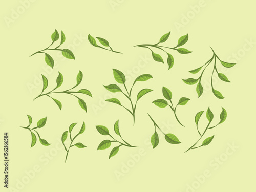 matcha set powder green tea japanese leaf ingredient powder element herb traditional cartoon icon