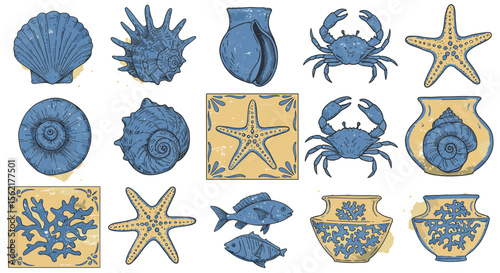 Marine life and seashells vector illustration for nautical design