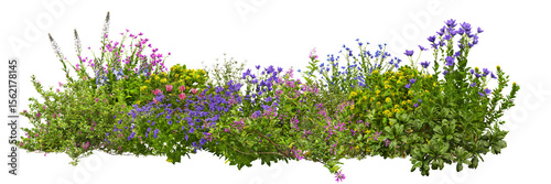 Photography 3D render of flowering shrubs on a transparent background