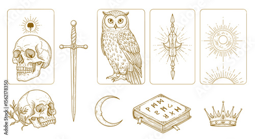Mystical elements vector illustration: skulls, owl, sword, and tarot for spiritual design