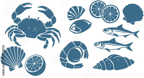 Marine life vector illustration: diverse ocean creatures and seafood elements for design