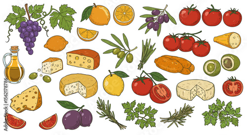 Mediterranean cuisine ingredients vector illustration for recipe design and food posters