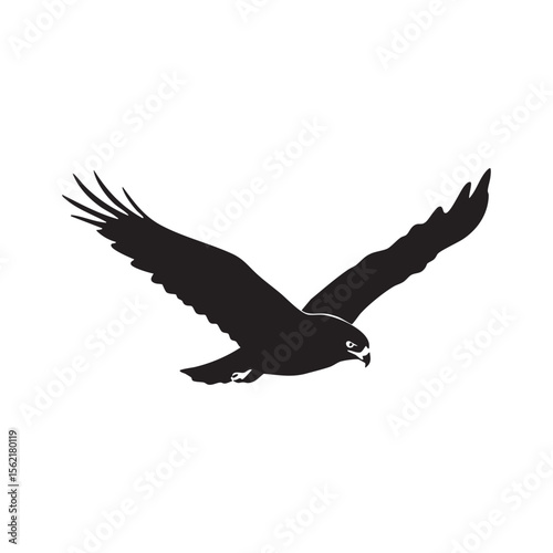 Black silhouette of a hawk in flight with wings spread wide isolated on white background silhouette