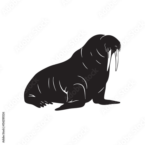 Black silhouette of a walrus with tusks and whiskers isolated on white background silhouette