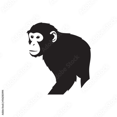 Stylized black silhouette of a chimpanzee head and shoulder isolated on white background silhouette