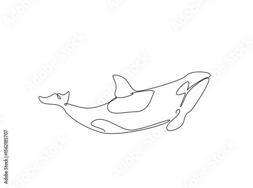 Killer whale in the ocean single outline illustration. Continuous line art drawing of orca killer whale.