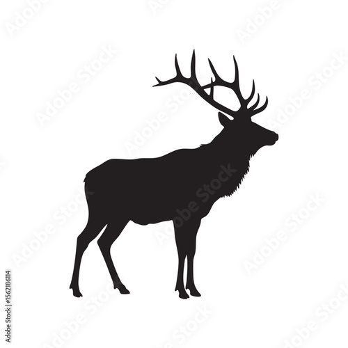 Majestic elk with large antlers standing proudly silhouette isolated on white background