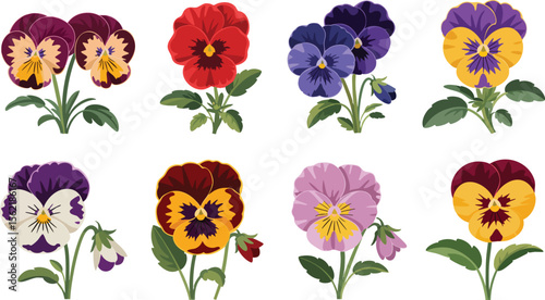 Vibrant Pansy Flowers Collection Vector Illustration Diverse Floral Set for Botanical Designs and Colorful Springtime Compositions