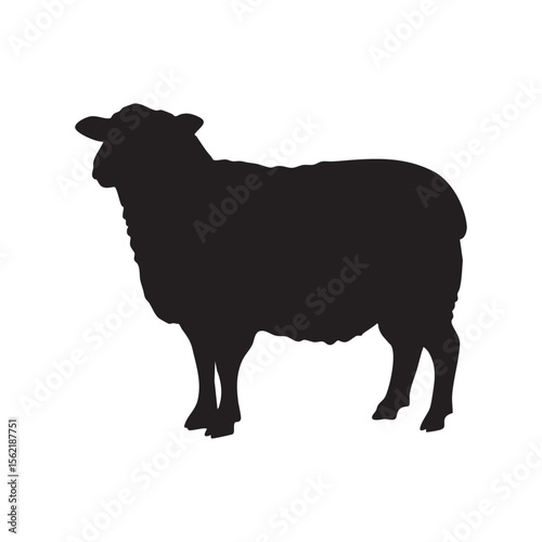 A black silhouette of a sheep standing on a white background silhouette isolated on white background