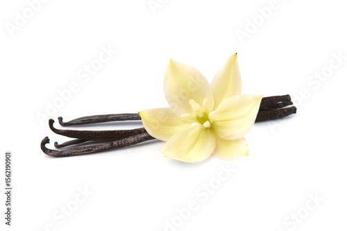 Vanilla stick with vanilla flower