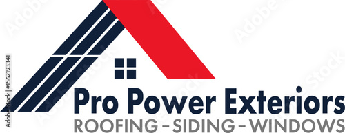 Pro Power Logo vector