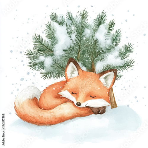 Peaceful Sleeping Fox Curled Under Snowy Pine Branch
