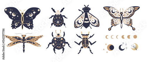 Celestial-inspired insect illustrations with moon and star motifs. Boho vector illustration of magic creatures - bugs, butterfly, moth, dragonfly, crescent moon.