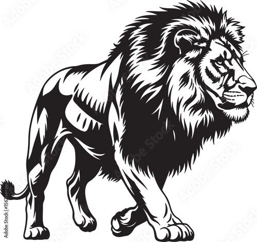 A roaring angry lion vector image