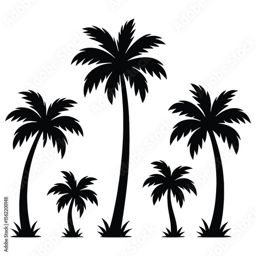Collection of silhouetted palm trees of varying heights isolated on white background