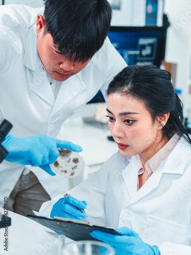 Young researchers collaborate on mold sample analysis in a science lab. The male scientist holds a petri dish while the female supervisor examines data. Team discovery and scientific breakthrough.