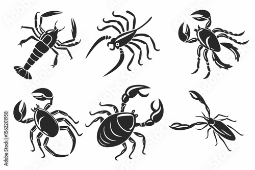 set of insects