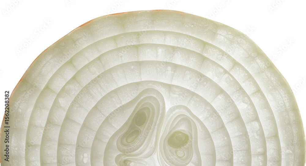 Obraz premium Translucent layers of a sliced white onion create a circular pattern