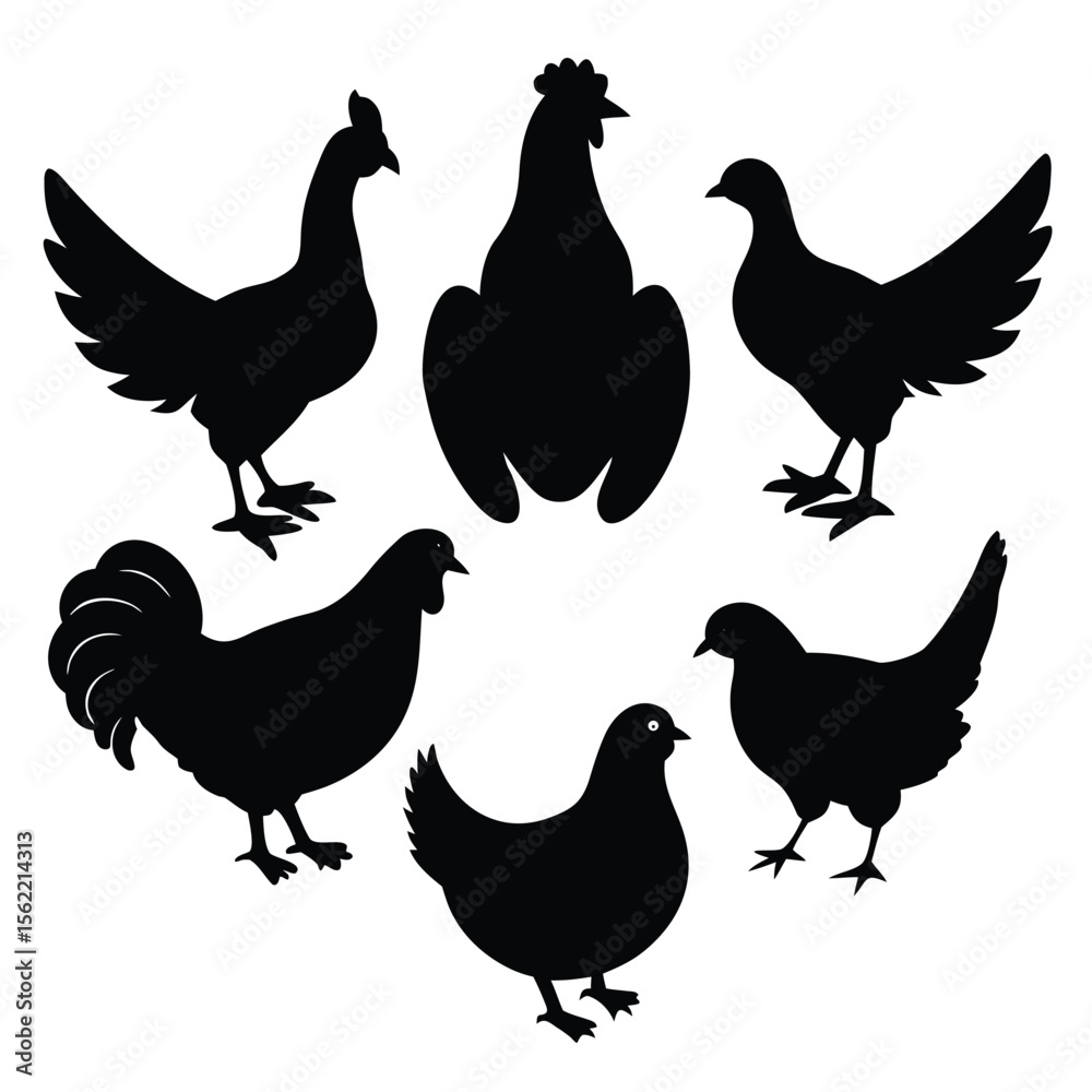 Fototapeta premium a centered vector art board layout with exactly 6 different domestic and farm birds in full-body black silhouette style,