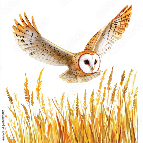 Watercolor Barn Owl in Flight Above Golden Wheat Field