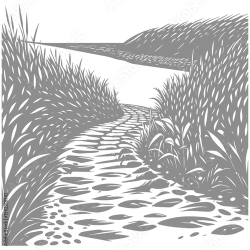 A stone path through tall grass leading towards a river in the countryside.