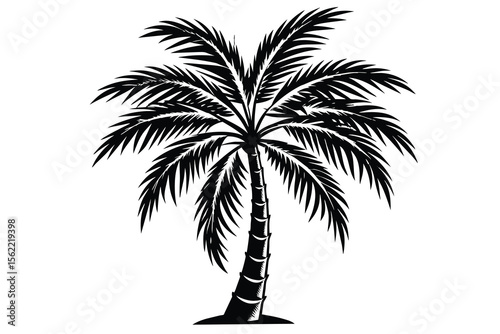 Majestic Palm Tree Silhouette Tropical Paradise Illustration