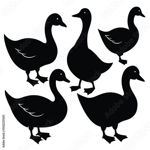 an image of six black silhouette ducks and geese in various poses, arranged on a white background 