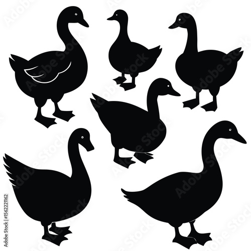 an image of six black silhouette ducks and geese in various poses, arranged on a white background 