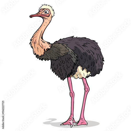 Whimsical Ostrich with Blonde Crest Pink Legs and Dark Plumage
