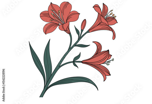 alstroemeria flower victor 