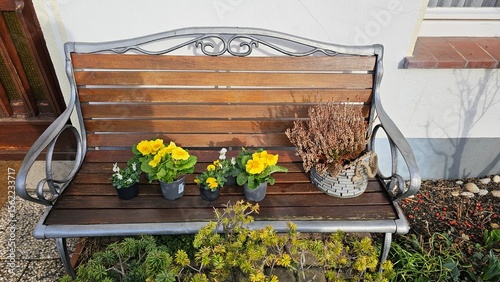 Garden Bench with Yellow Primroses and Heather Pots
