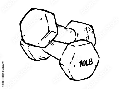 Barbell dumbbell for home workouts, weight lifting, hand drawn vector illustration