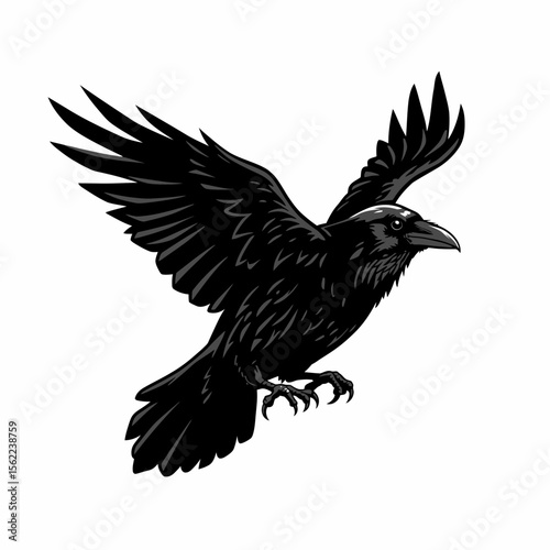 Illustration of a black raven flying with wings open silhouette