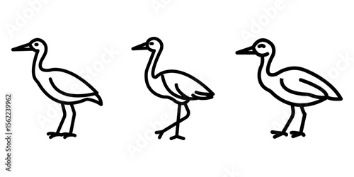 jacana outline or line icon design bundle.