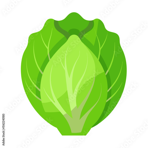 fresh green leaf