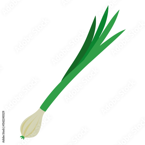onion isolated on white background