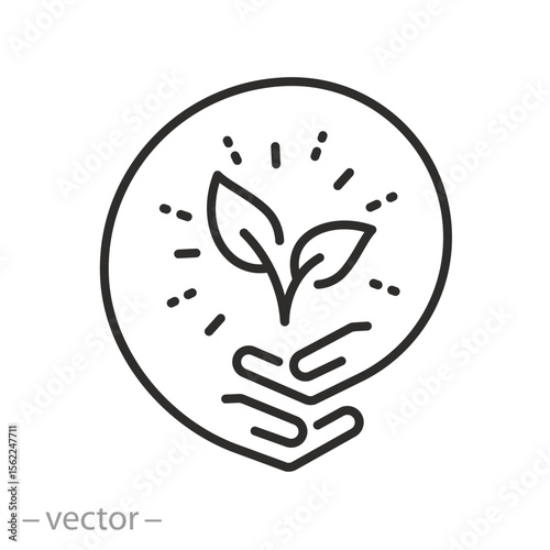 plant in hands