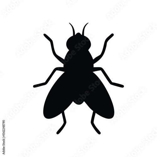Isolated black beetle bug silhouette vector icon pest.