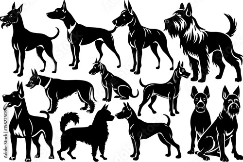 Diverse canine silhouettes black and white dogs