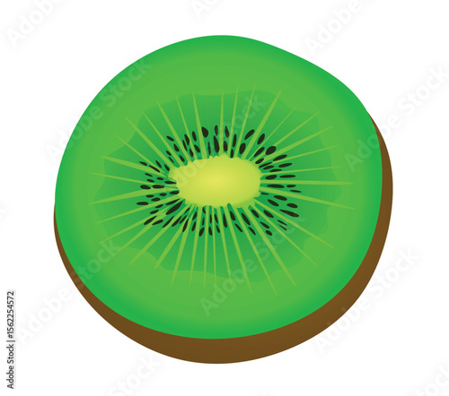 Kiwi on white background. vector	
