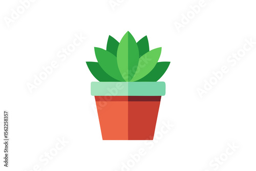cactus in flowerpot