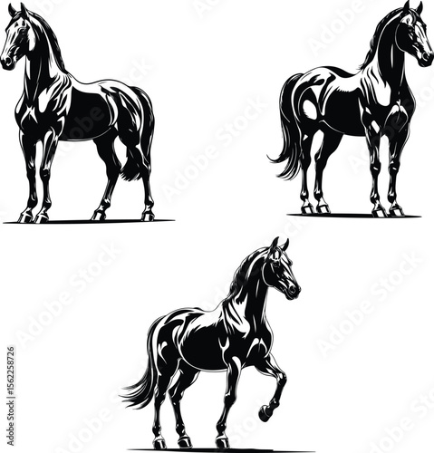 High Quality Vector Illustration Of Three Cute Horse Silhouette