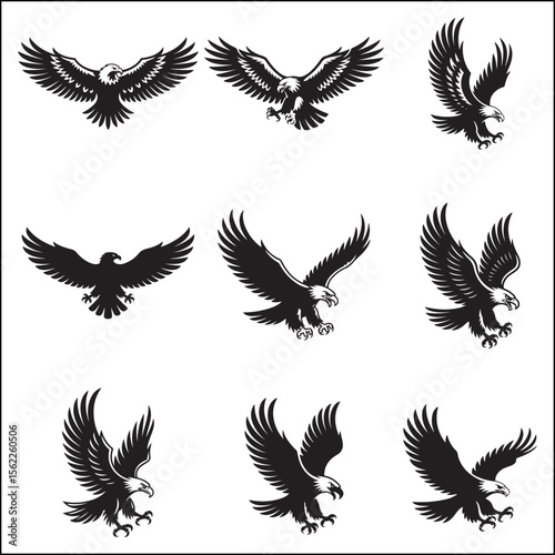 Collection of Nine Black and White Eagle Illustrations in Flight and Landing