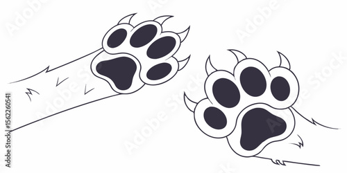 Cartoon vector illustration of animal paws with claws and paw pads