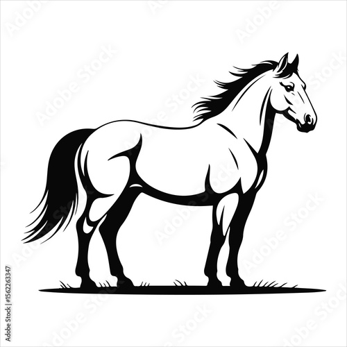 Majestic Horse Standing in Open Field