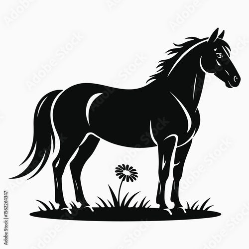 Black Horse Silhouette on White Background