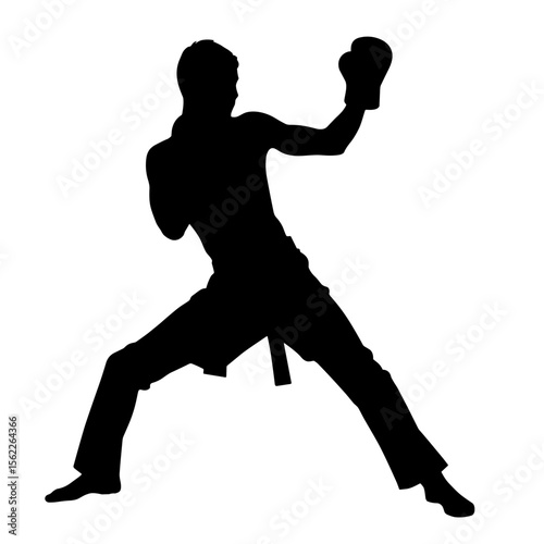 Boxer silhouette in fighting stance with gloves without background  
