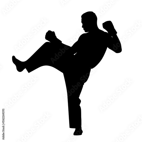 Silhouette of a man kicking and punching in a fighting stance without background  