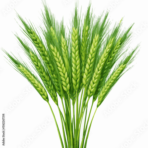 A cyber green wheat design Art & Illustration